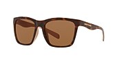 Sunglasses Native Braiden M (55-17) with Brown lens and Maple Tortoise frame - Variant link
