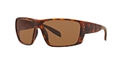 Sunglasses Native Griz L (66-14) with Brown lens and Desert Tortoise frame - Variant link
