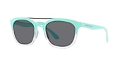Sunglasses Native Sixty-Six L (54-20) with Grey lens and Mint/Crystal frame - Variant link