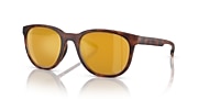 Lunettes de soleil Native Targhee XXL (54-21) avec Bronze verre et Écaille de tortue mate monture - Lien de variante