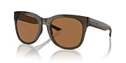 Sunglasses Native Tiaga XL (55-20) with Brown lens and Smokey Quartz frame - Variant link