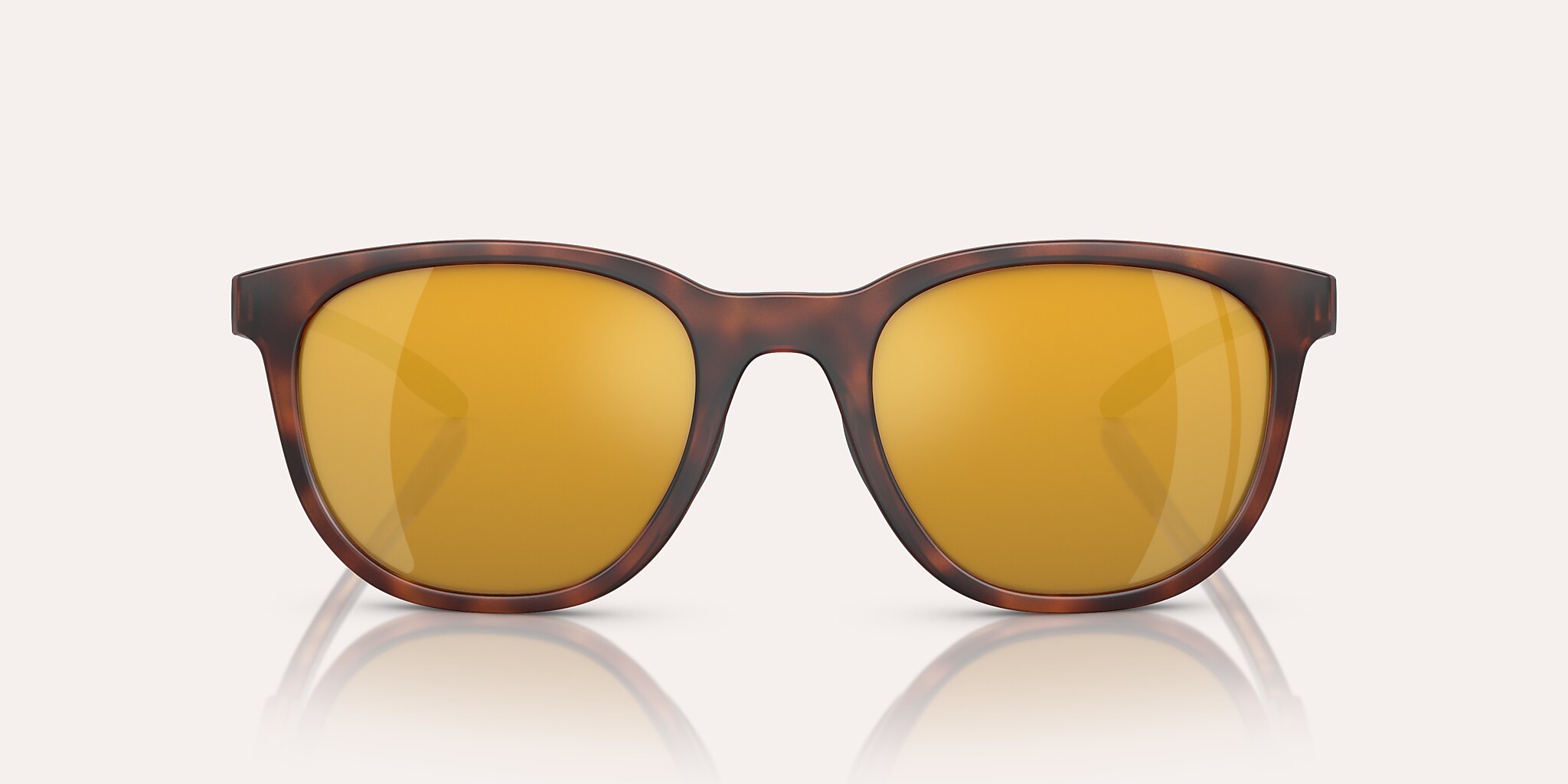 Sunglasses Native Targhee XXL (54-21) with Bronze lens and Matte Tortoise frame Image 2 of 5