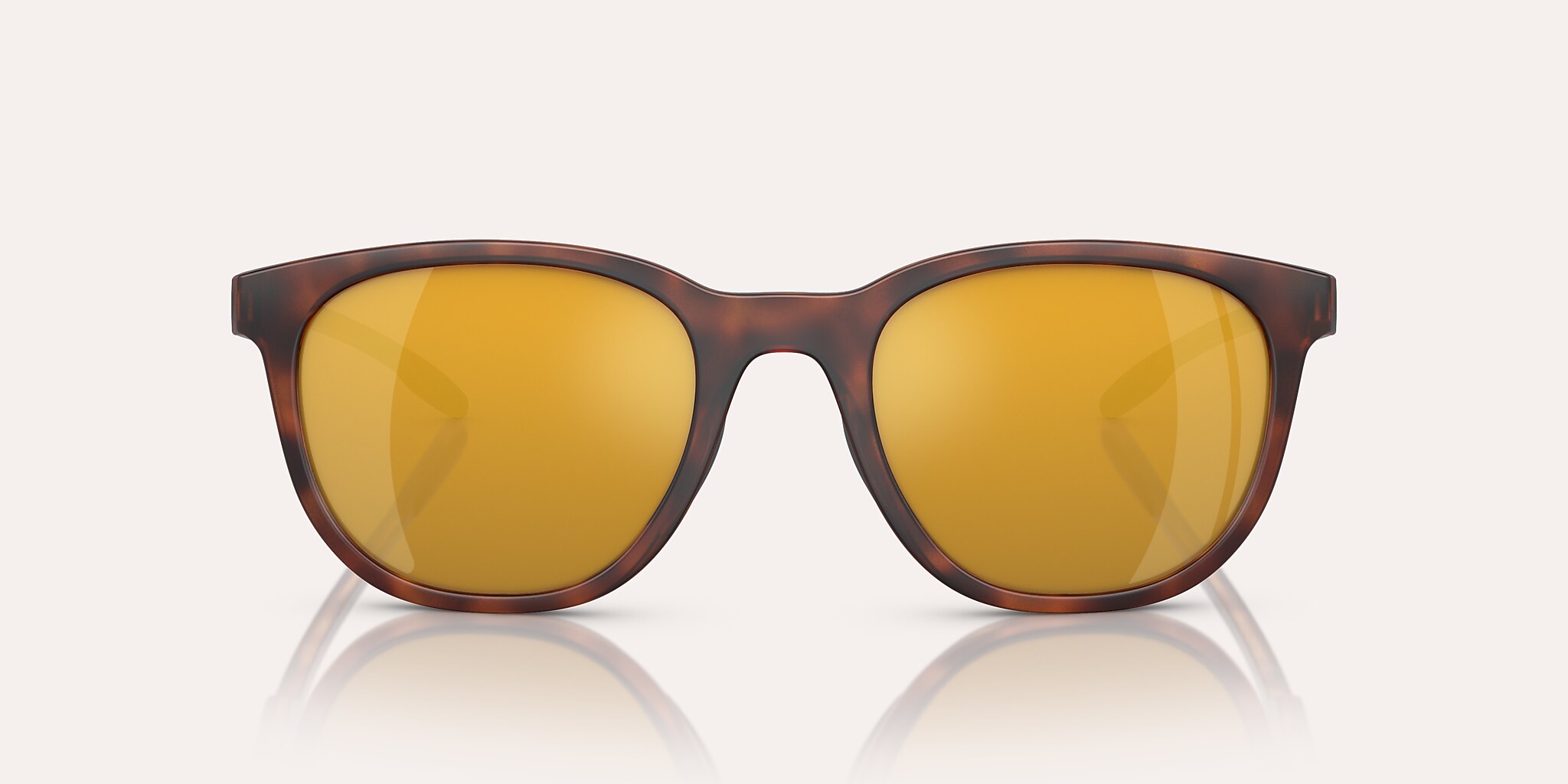 Lunettes de soleil Native Targhee XXL (54-21) avec Bronze verre et Écaille de tortue mate monture Image 2 de 5